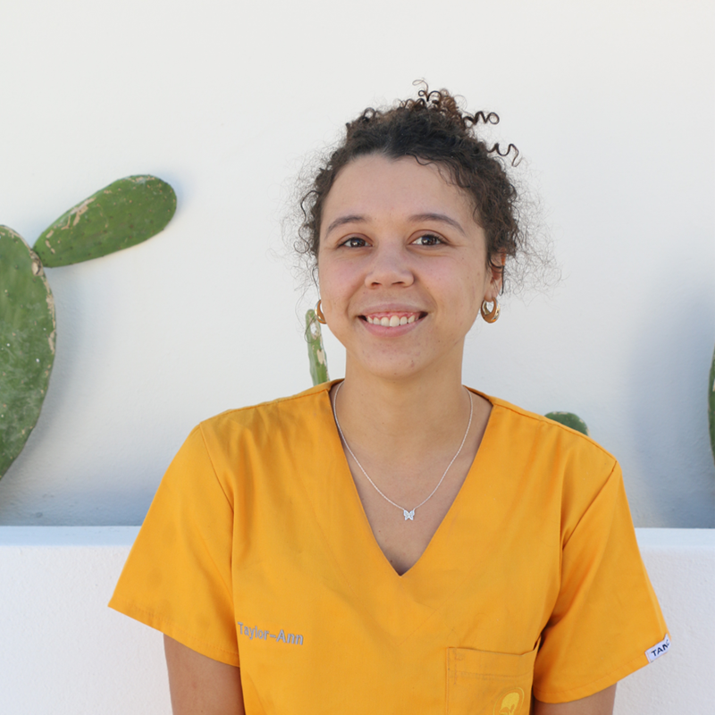Taylor Auckland - Speech and Language Therapist